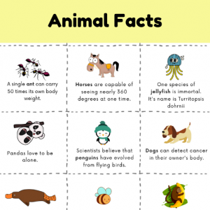 fun facts about animals for kids