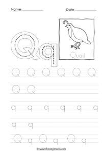 tracing letter q worksheet | alphabet q